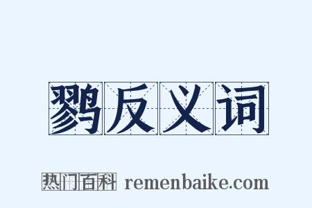 鹨反义词是什么意思的图片